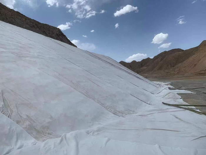 雄安新區(qū)千年秀林人工湖項(xiàng)目