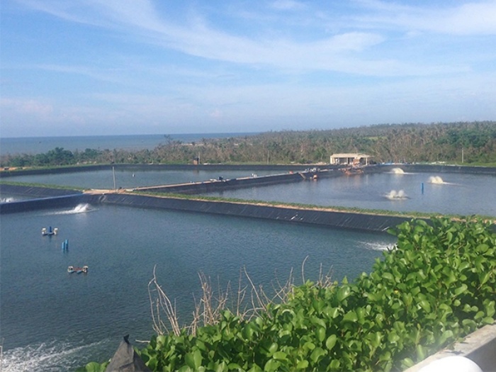 湖北魚(yú)塘防滲工程